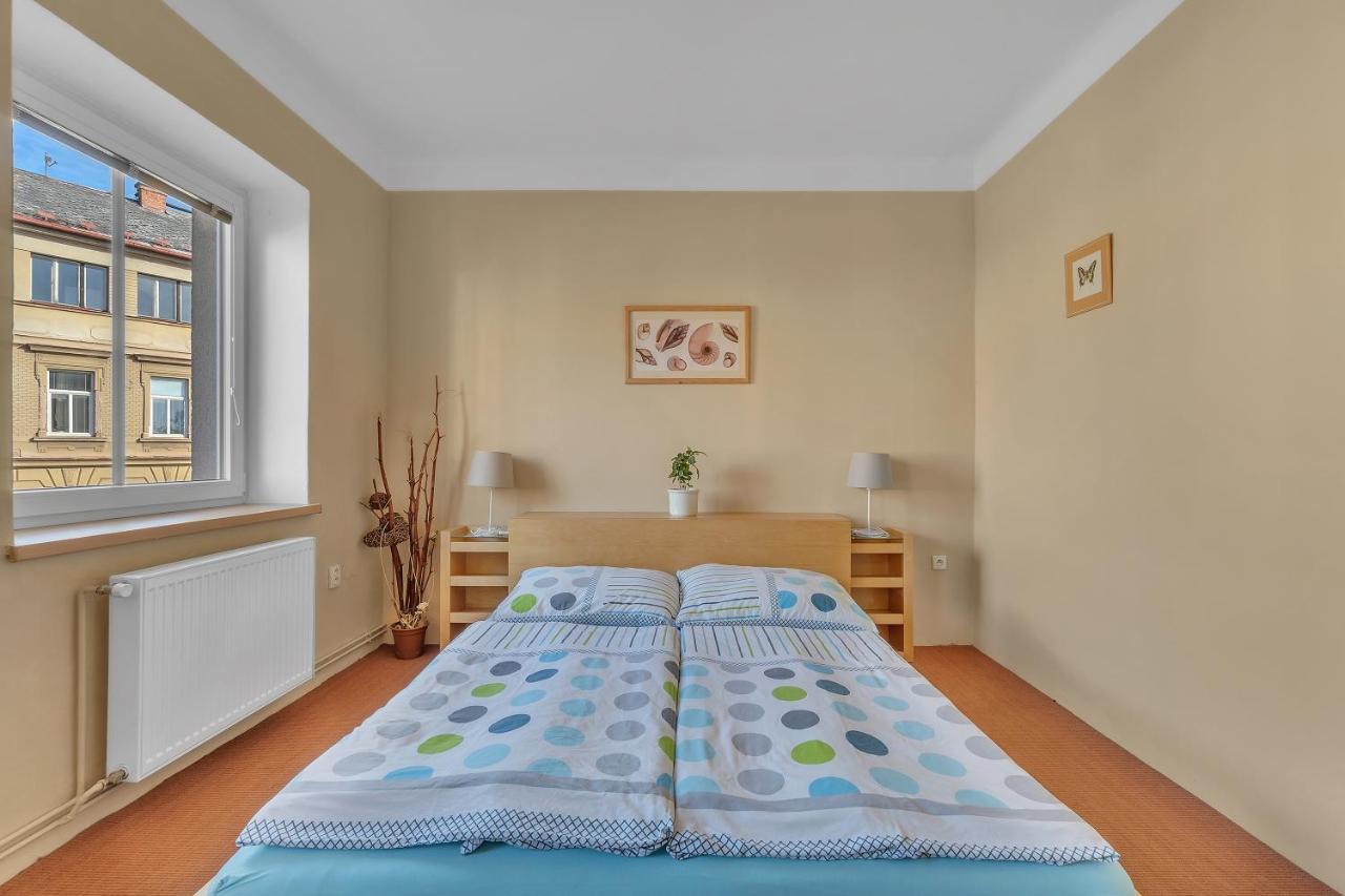 Apartman U Javorky Lázně Bělohrad Екстериор снимка